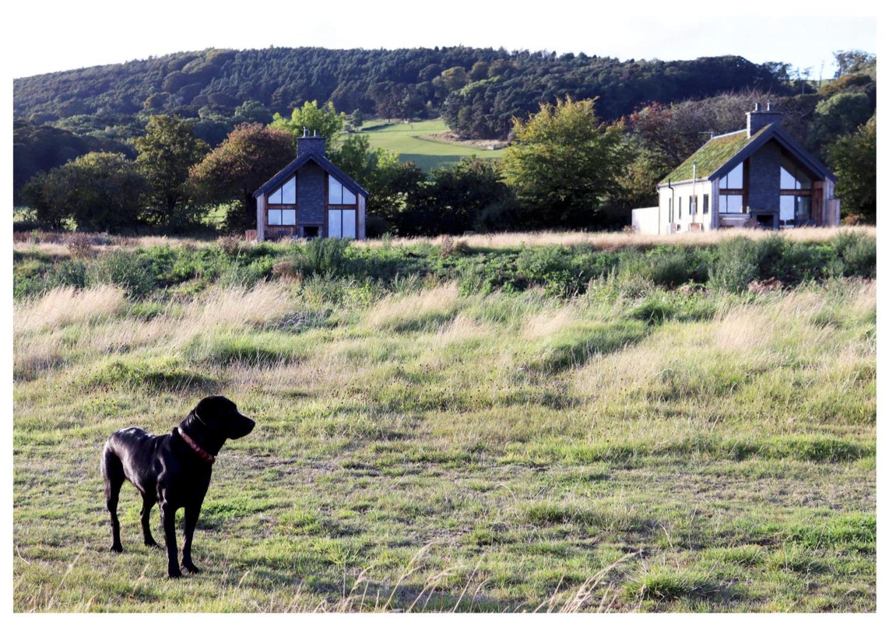Eco-Lodge With Sea View Charleton Estate Colinsburgh Esterno foto