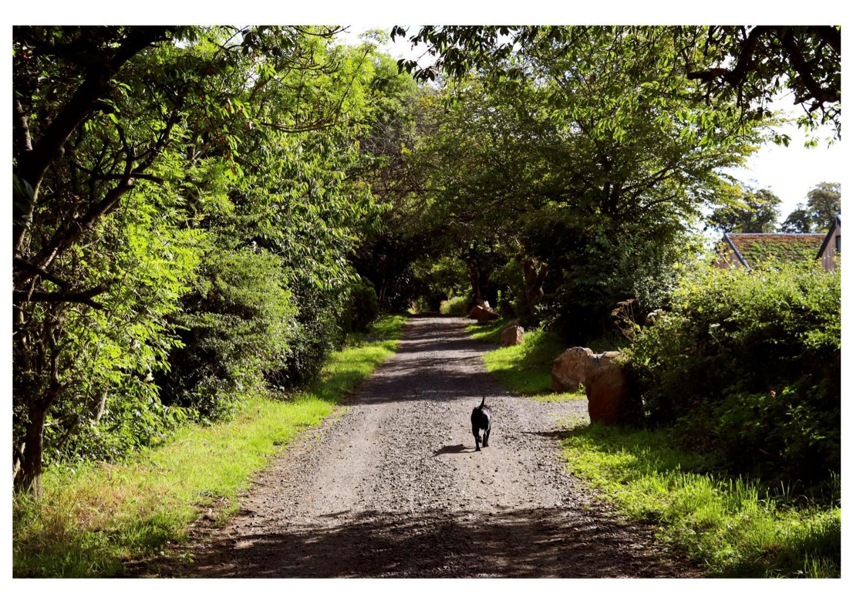 Eco-Lodge With Sea View Charleton Estate Colinsburgh Esterno foto